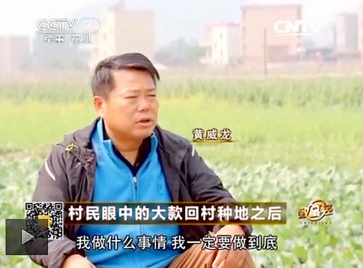 我父母都是种地的农民,在政审表中他们的工作